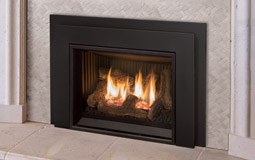 E20 Gas Insert