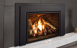 E44 Gas Insert
