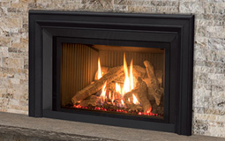 EX32 Gas Insert