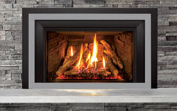 EX35 Gas Insert